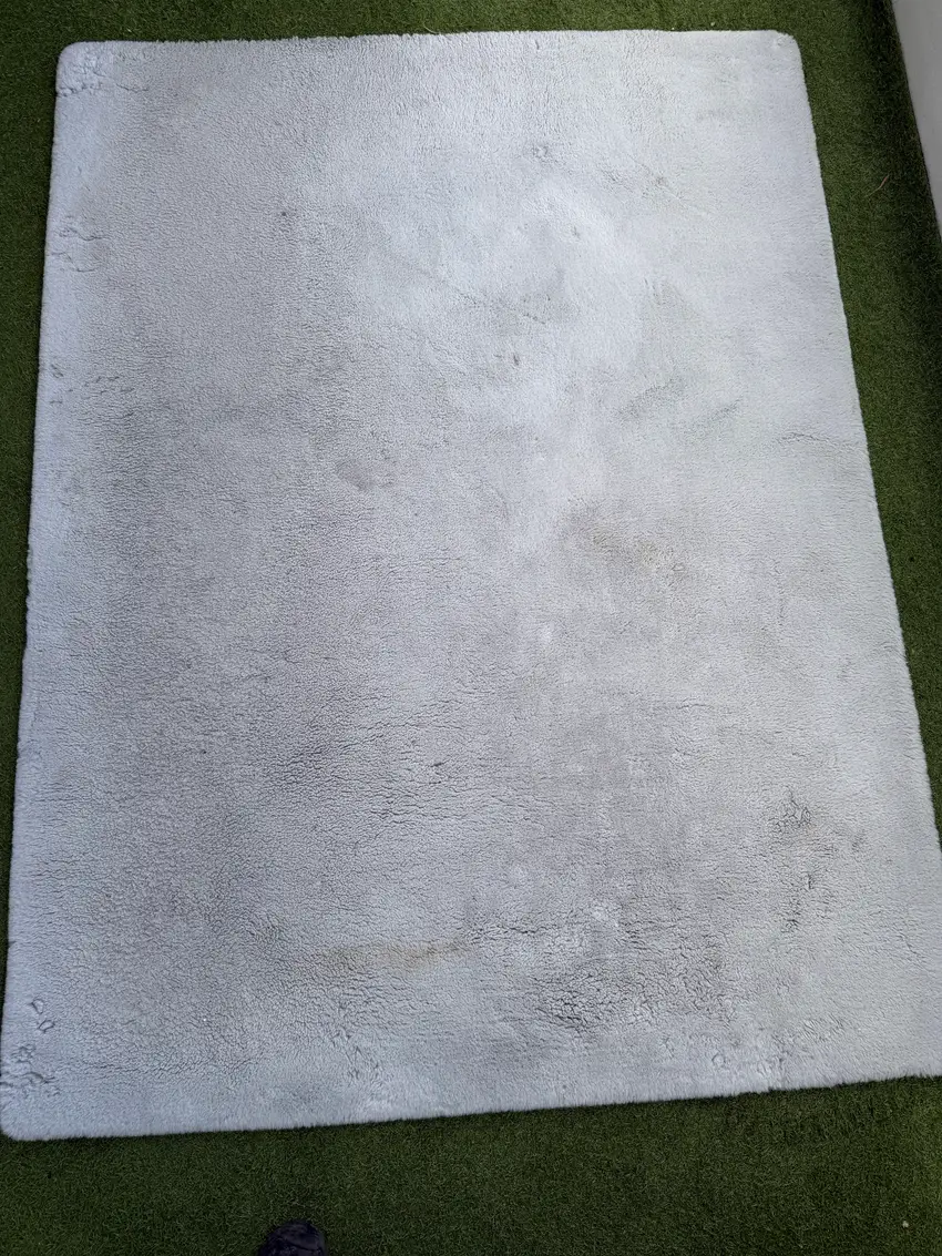 Avant — Tapis à poils longs grisé par le passage